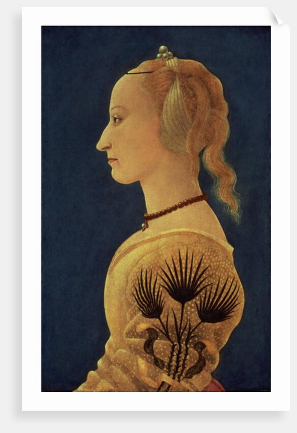 Portrait of a Lady, c.1465 by Alessio Baldovinetti