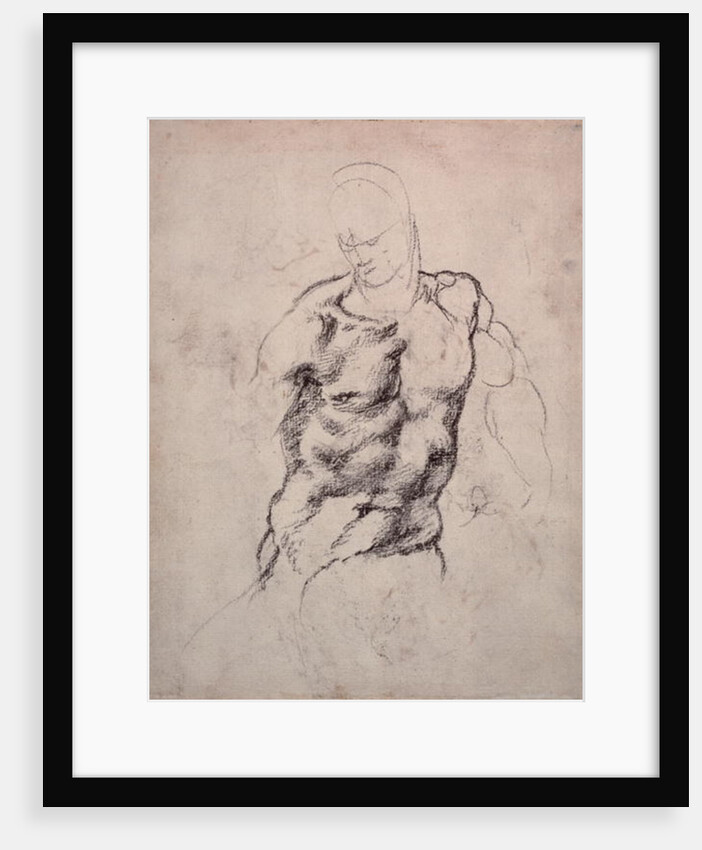 Figure Study by Michelangelo Buonarroti