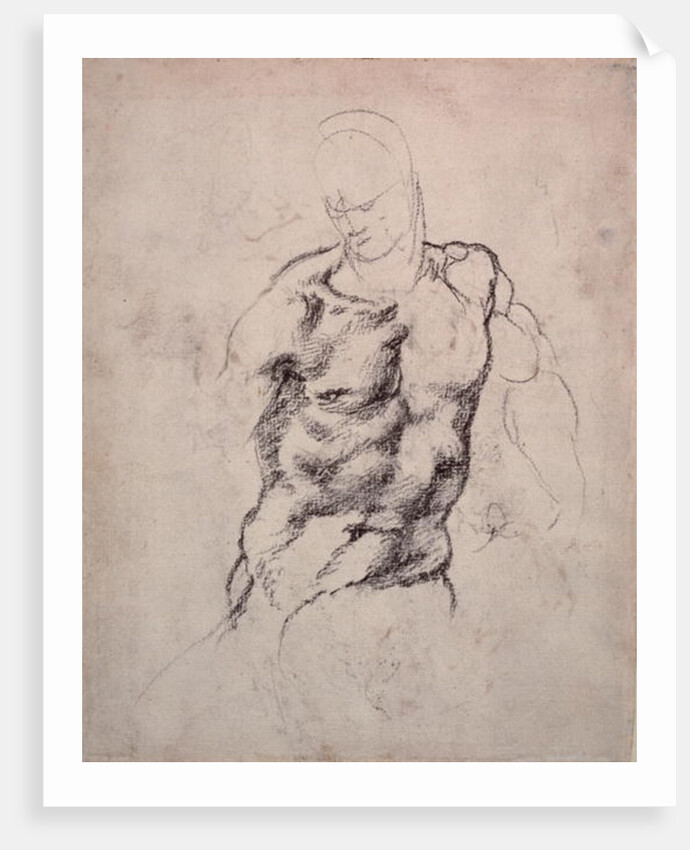 Figure Study by Michelangelo Buonarroti