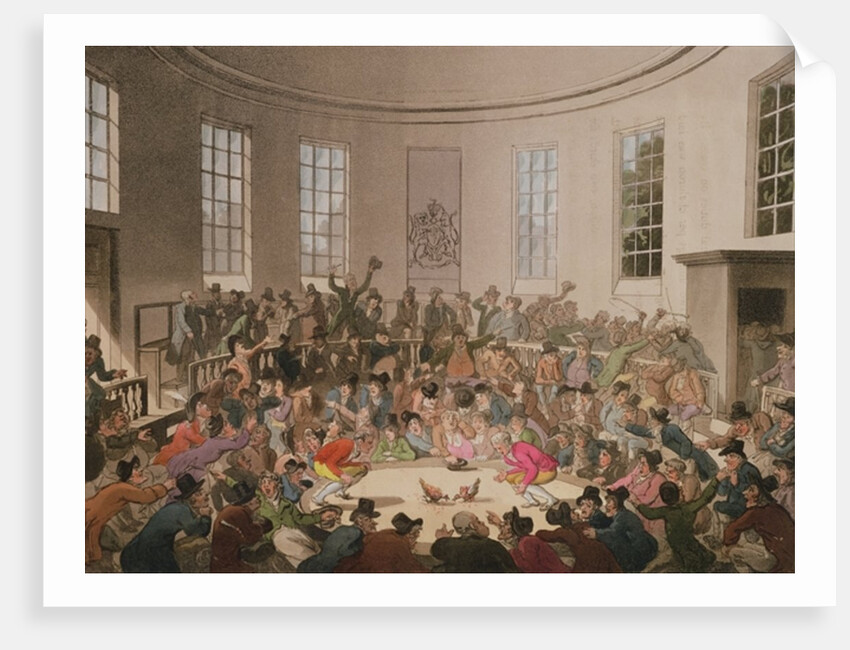 Royal Cock Pit, 1808 by T. & Pugin A.C.(1762-1832) Rowlandson