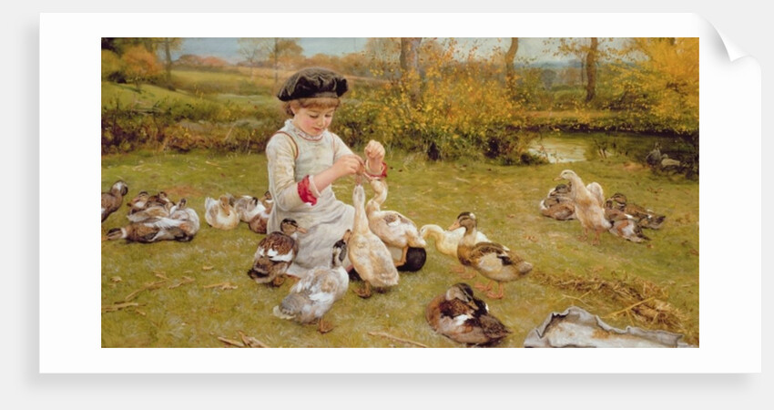 Feeding Ducks, 1883 by Edward Killingworth Johnson