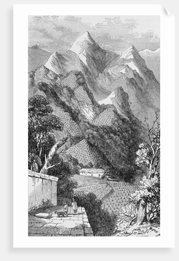 Scene in the Bohea Mountains, on Marco Polo's route, 1903 by Anonymous