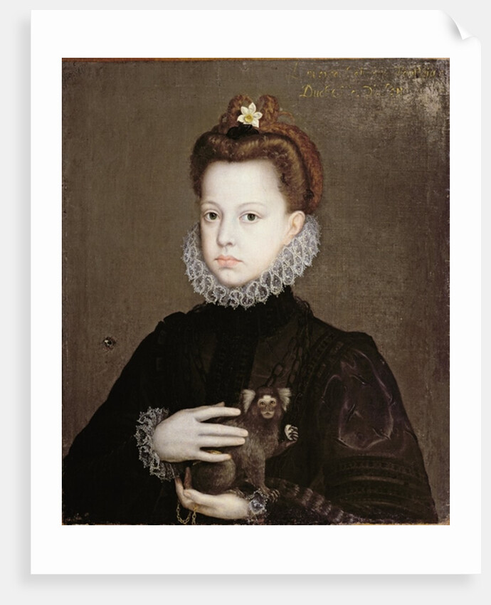 Infanta Isabella Clara Eugenia, Daughter of Philip II of Spain by Alonso Sanchez Coello