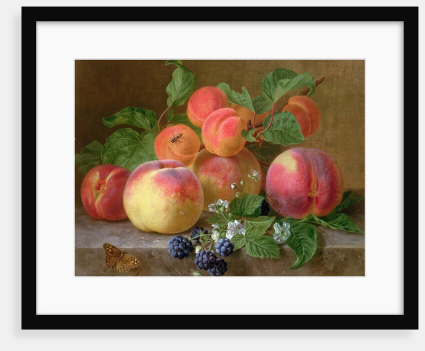 Still Life of Peaches by Henriette Ronner-Knip