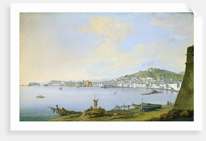 View of Naples by Saviero Xavier della Gatta