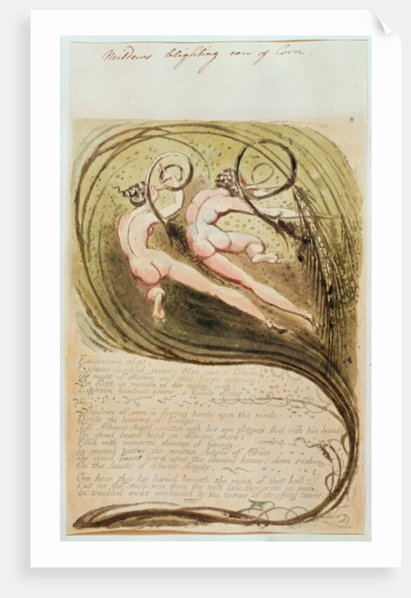 Mildew Blighting Ears of Corn by William Blake