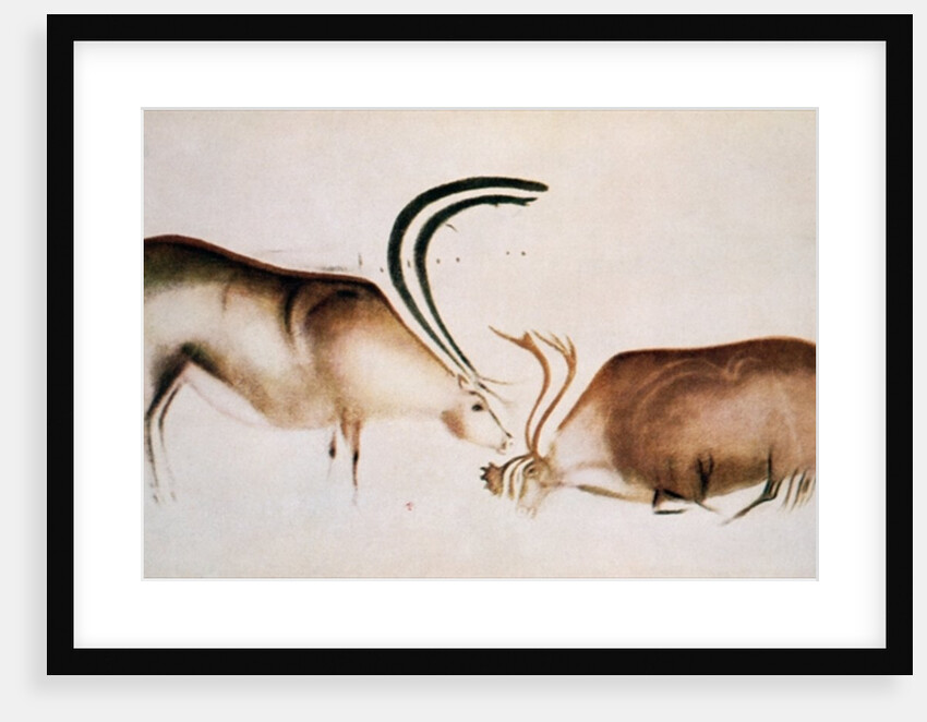 Male and female deer, Magdalenian school, c.13000 BC by Paleolithic Paleolithic