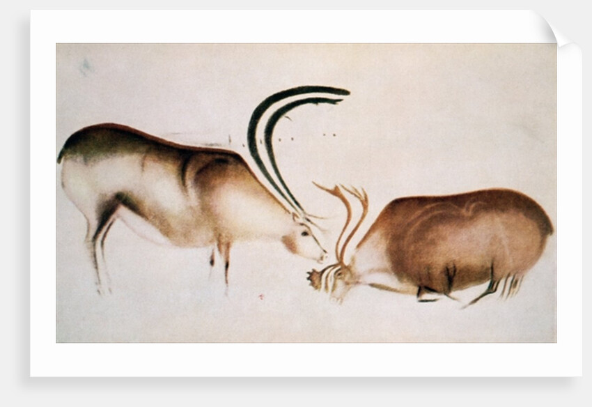 Male and female deer, Magdalenian school, c.13000 BC by Paleolithic Paleolithic