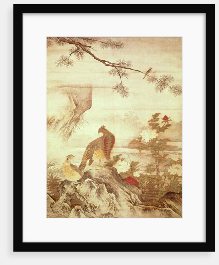 Pheasants and peonies by Motonobu Kano