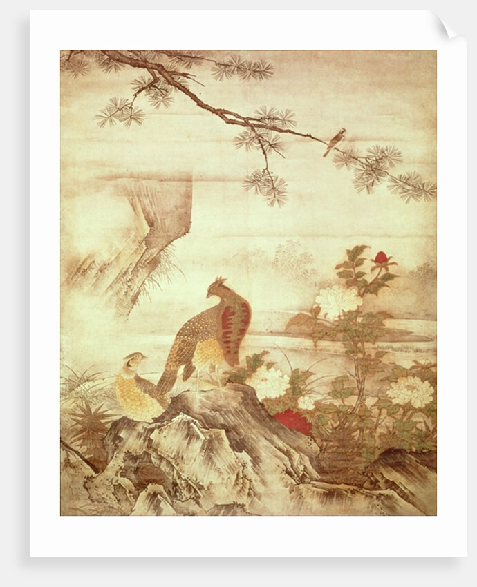 Pheasants and peonies by Motonobu Kano