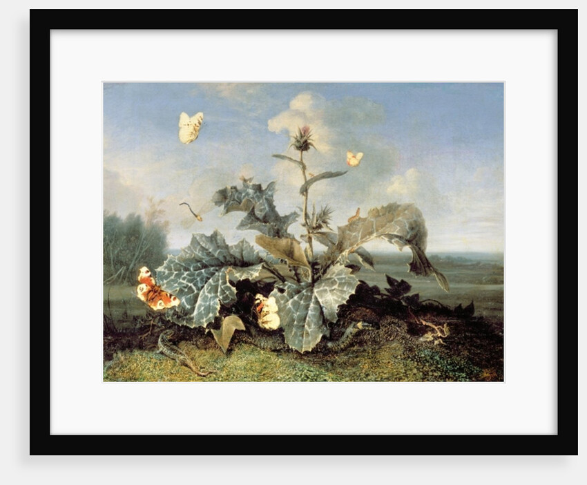 The Burdock Bush by Otto Marseus van Schrieck