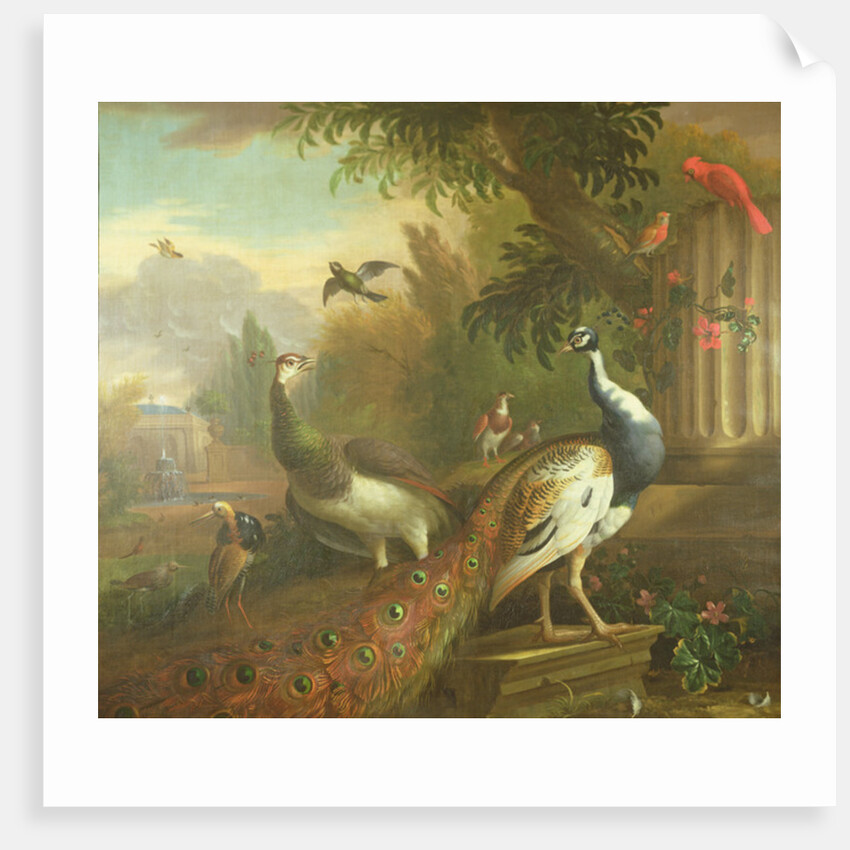 Peacock and Peahen with a Red Cardinal in a Classical Landscape by Tobias Stranover