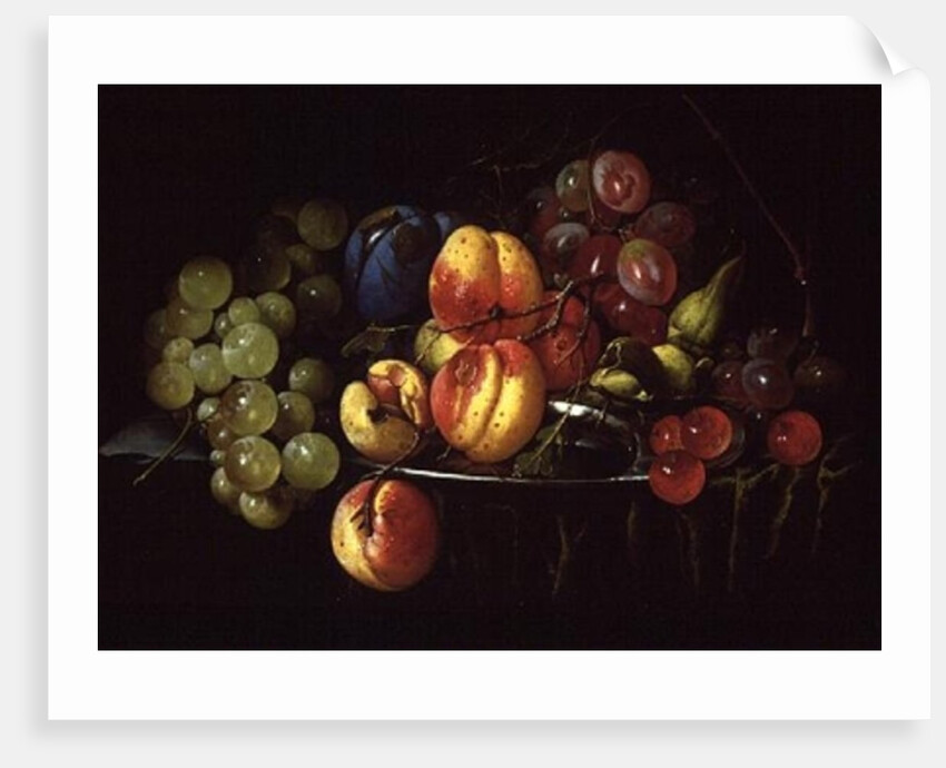 Still Life of Fruit by Cornelis de Heem