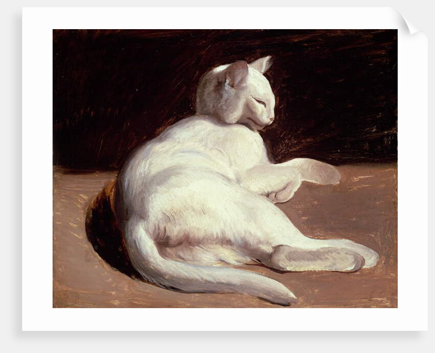 The White Cat, c.1817-18 by Theodore Gericault
