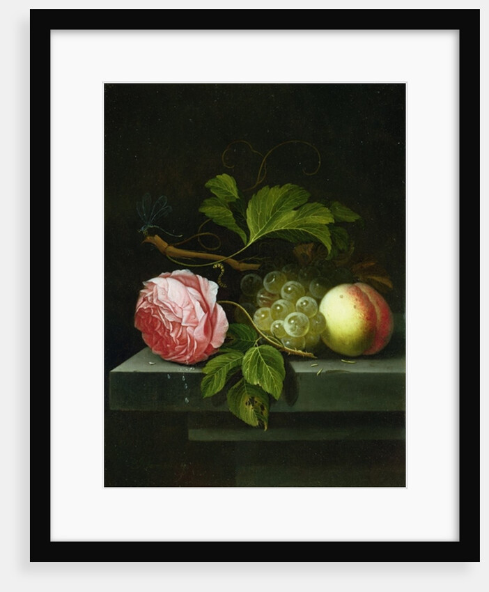 A Still Life with a Rose, Grapes and Peach, 17th century by Johannes Borman