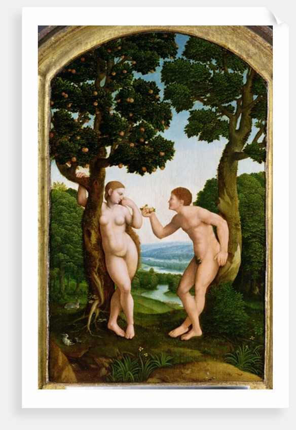 Adam and Eve in Paradise by Jan van Scorel