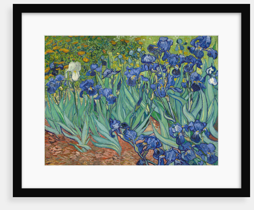 Irises, 1889 by Vincent van Gogh