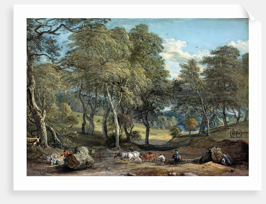 Windsor Forest with Oxen Drawing Timber, 1798 by Paul Sandby