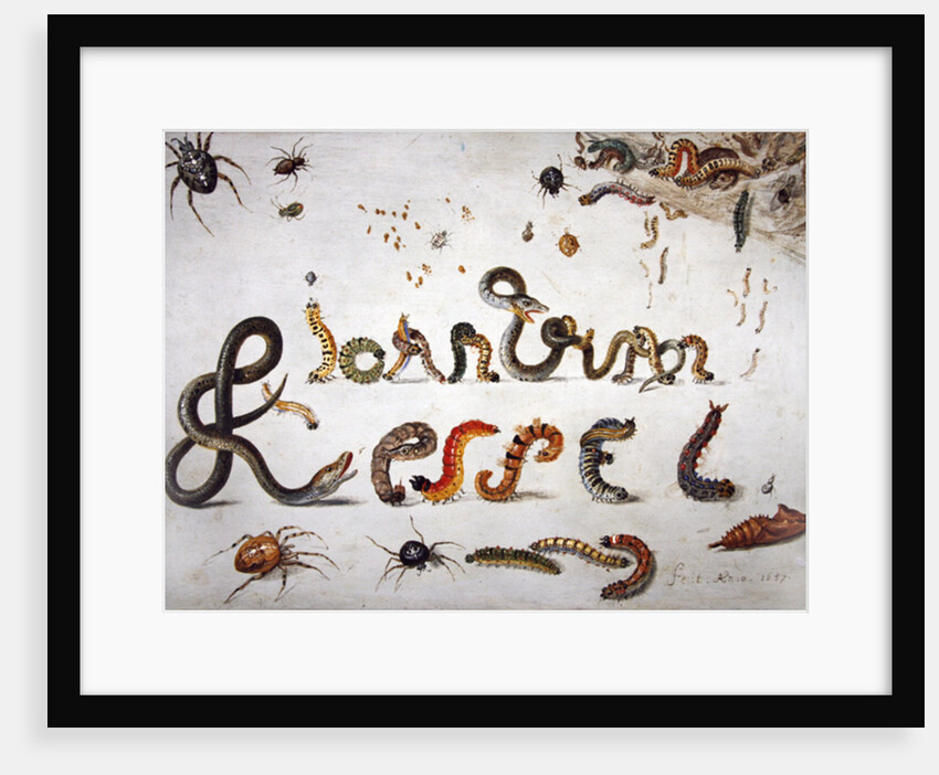 Garden and other spiders, caterpillars spell the artist's name, 1657 by Jan van the Elder Kessel