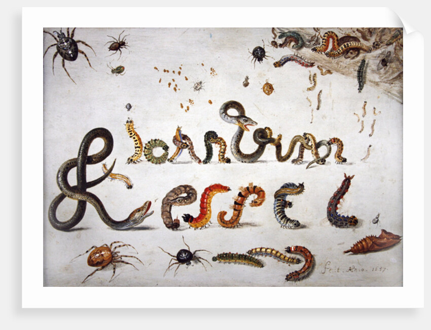 Garden and other spiders, caterpillars spell the artist's name, 1657 by Jan van the Elder Kessel