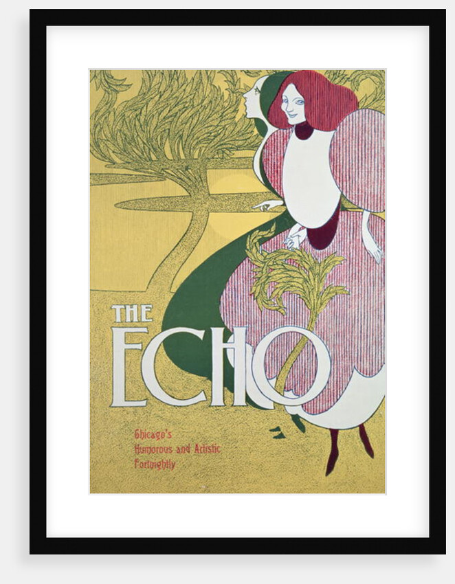Front cover of 'The Echo' by William Bradley
