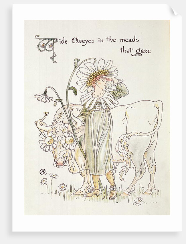Wild Oxeyes in Meads that Gaze by Walter Crane