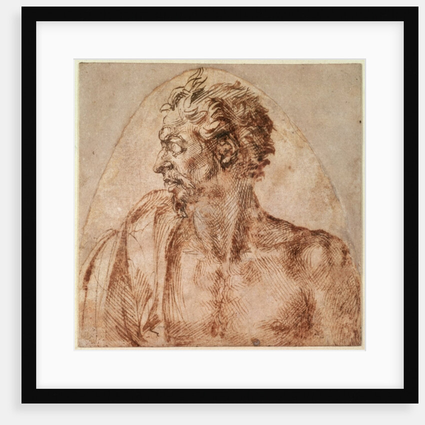 Study of Head and Shoulders by Michelangelo Buonarroti