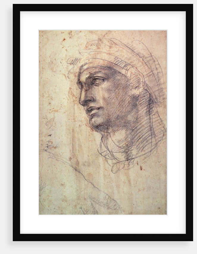 Study of a Head by Michelangelo Buonarroti
