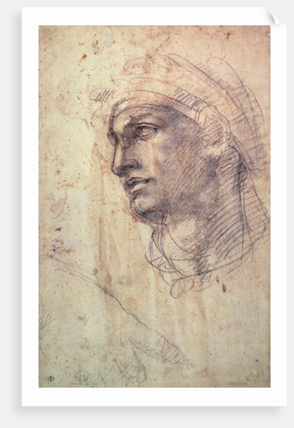 Study of a Head by Michelangelo Buonarroti