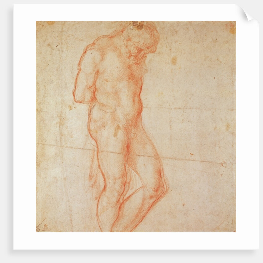 Study of a Nude by Michelangelo Buonarroti