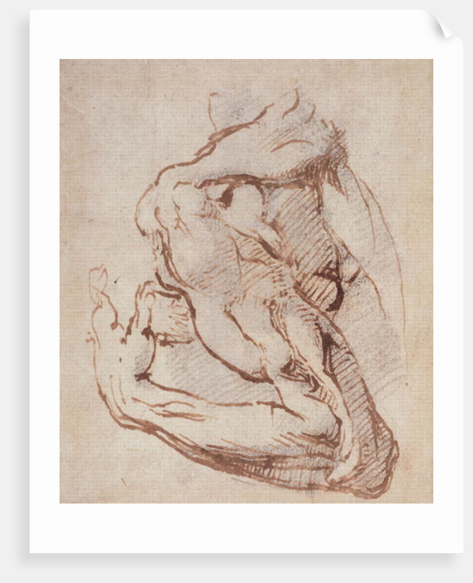 Study of an Arm Inv.1859/5/14/819 by Michelangelo Buonarroti