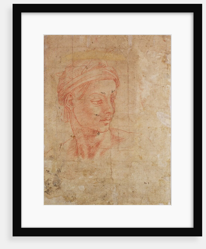 Study of a Head by Michelangelo Buonarroti