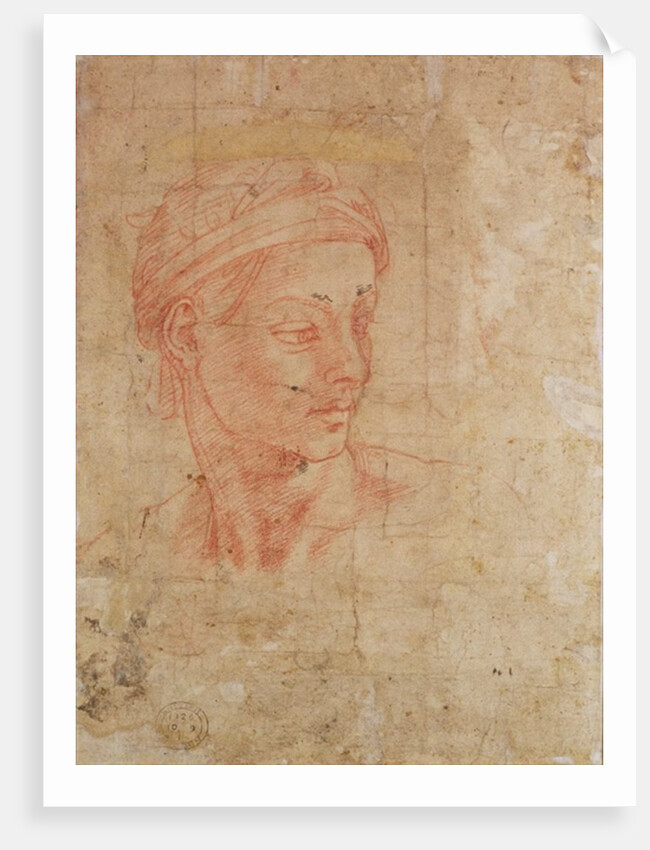 Study of a Head by Michelangelo Buonarroti