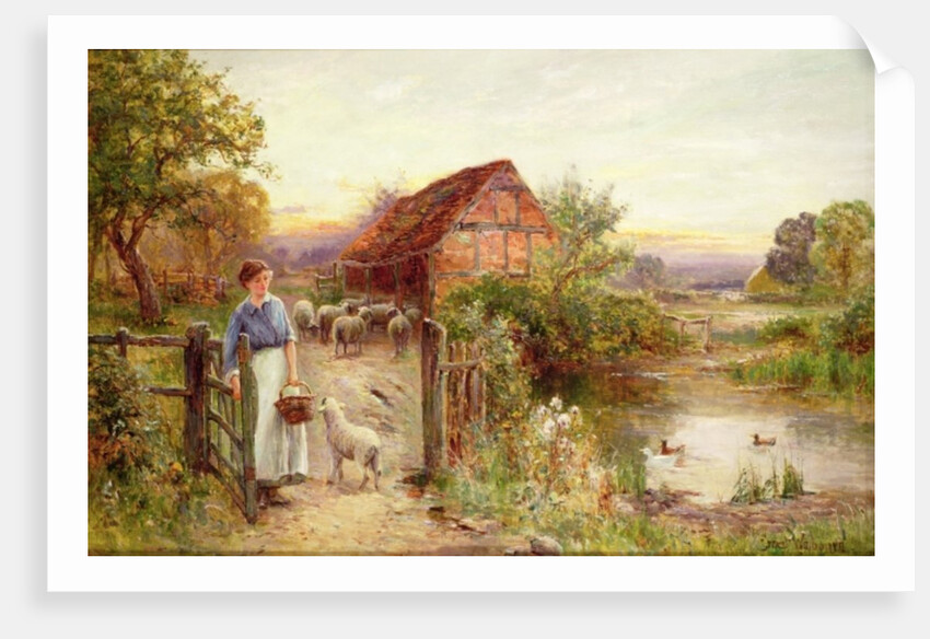 Bringing Home the Sheep by Ernest Walbourn