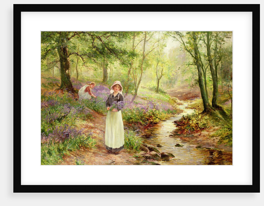 The Bluebell Glade by Ernest Walbourn