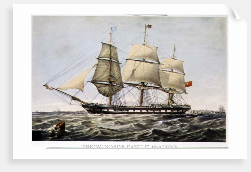 The 'Windsor Castle', 1250 tons by Anonymous Anonymous