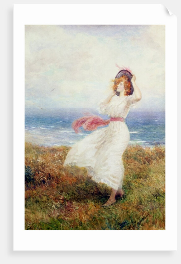 A Blow on the Cliffs by Arthur Hopkins