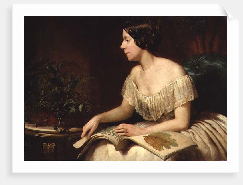 Miss Anne Pratt, the famous botanist by English School