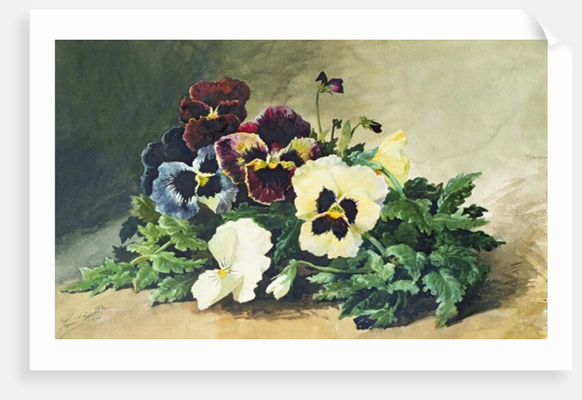 Winter Pansies, 1884 by Louis Charles Bombled