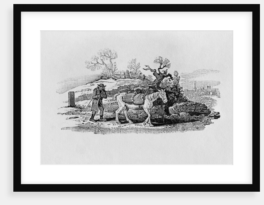 Geese carried to market from 'History of British Birds and Quadrupeds' by Thomas Bewick