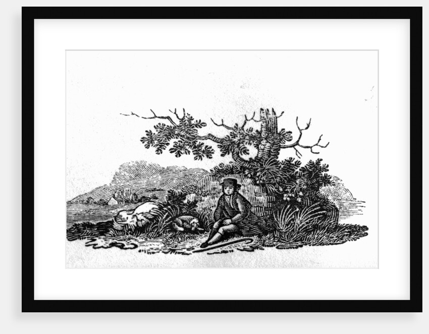 Man Seated by a Stunted Tree from 'History of British Birds and Quadrupeds' by Thomas Bewick