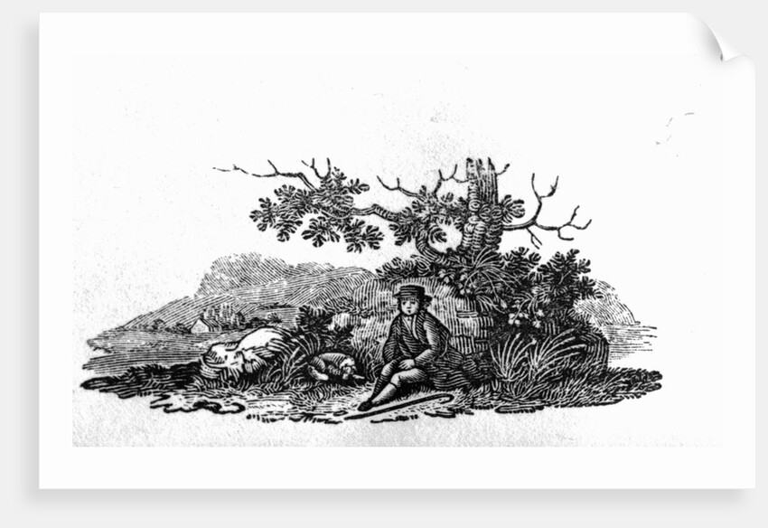 Man Seated by a Stunted Tree from 'History of British Birds and Quadrupeds' by Thomas Bewick