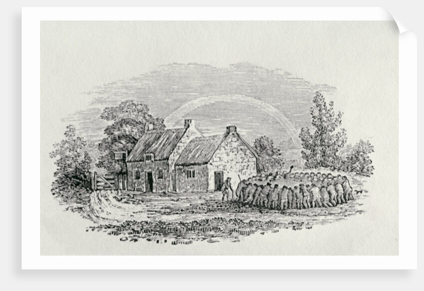 Cockfight Outside an Inn, c.1801 by Thomas Bewick