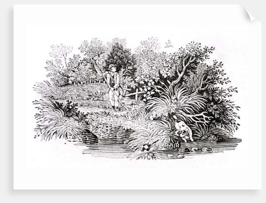 Looking for the Shot, late 18th or early 19th century by Thomas Bewick