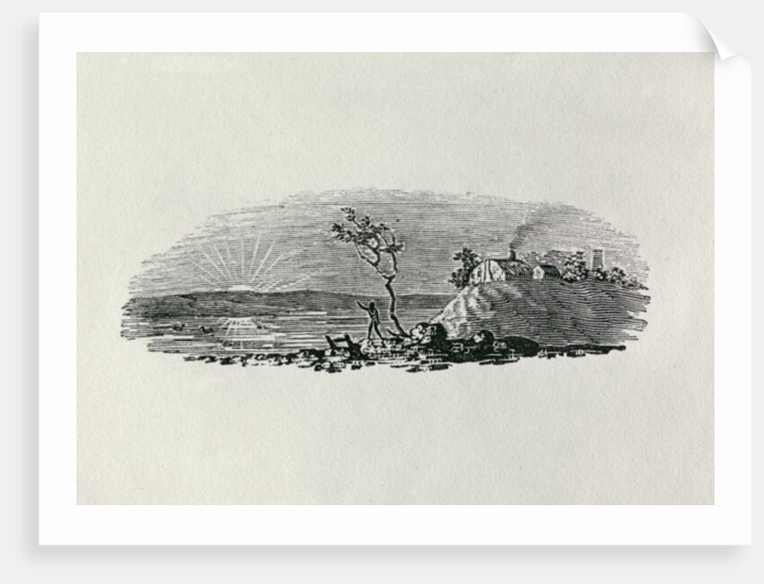 Winter Sunset from 'History of British Birds and Quadrupeds' by Thomas Bewick