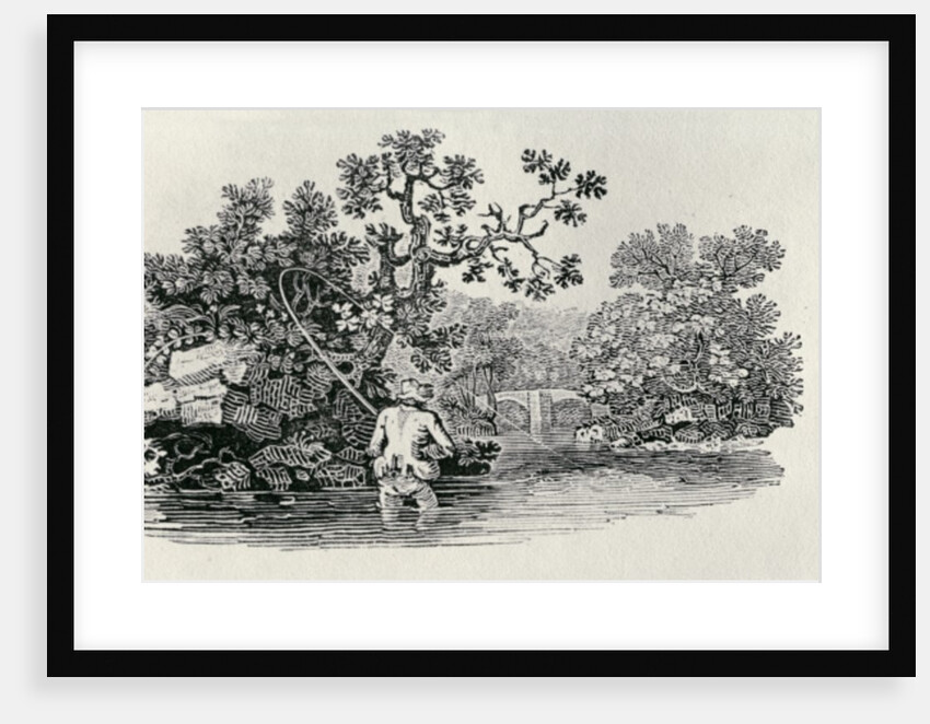 Playing a Salmon from 'History of British Birds and Quadrupeds' by Thomas Bewick