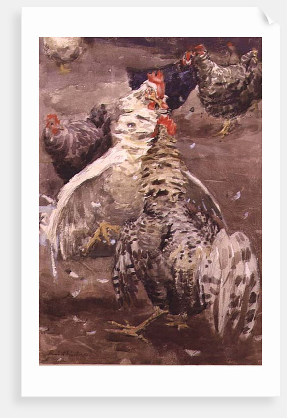 Roosters, 1910 by Ernest Procter