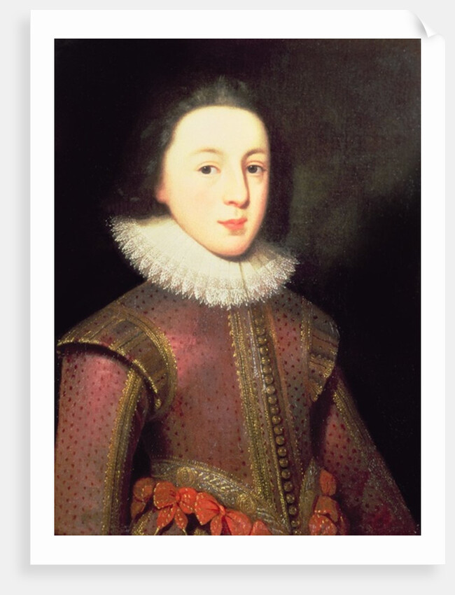 Tudor portrait of a Boy, c.1580-1600 by English School