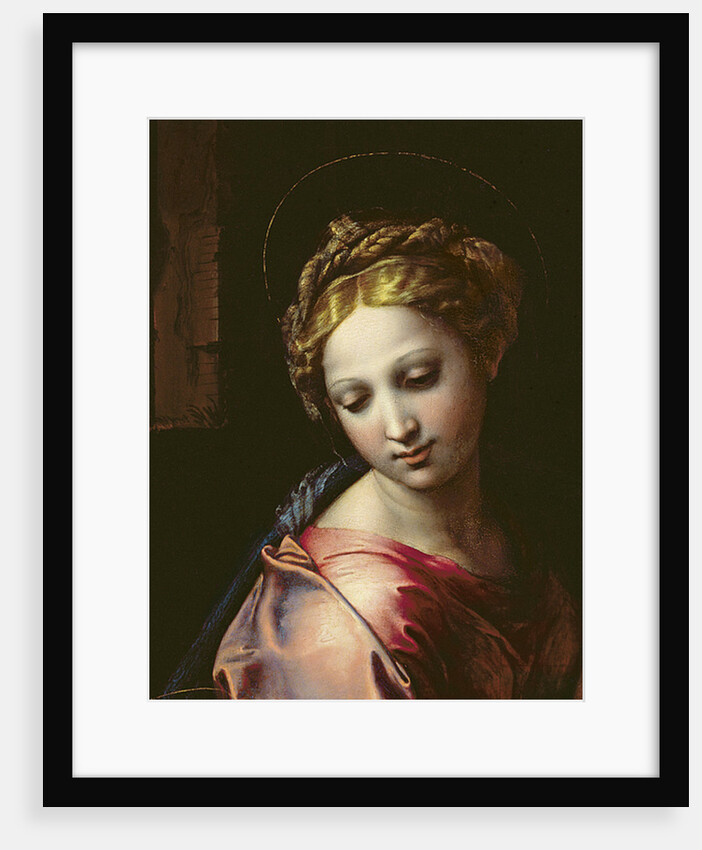 The Madonna, c.1518 by Raphael
