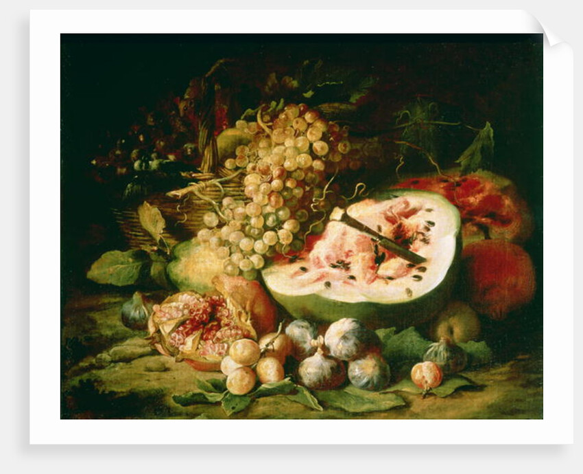 Still Life of Fruit on a Ledge by Frans Snyders or Snijders